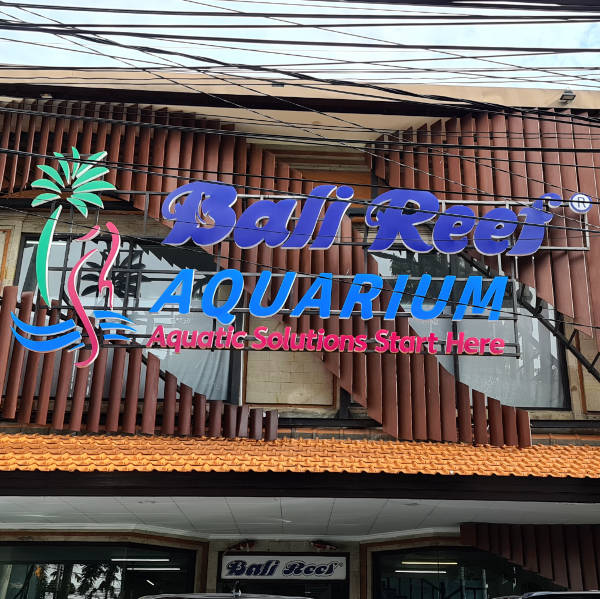 bali-reef1