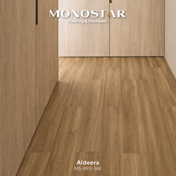 MONOSTAR SPC_Aldeera2
