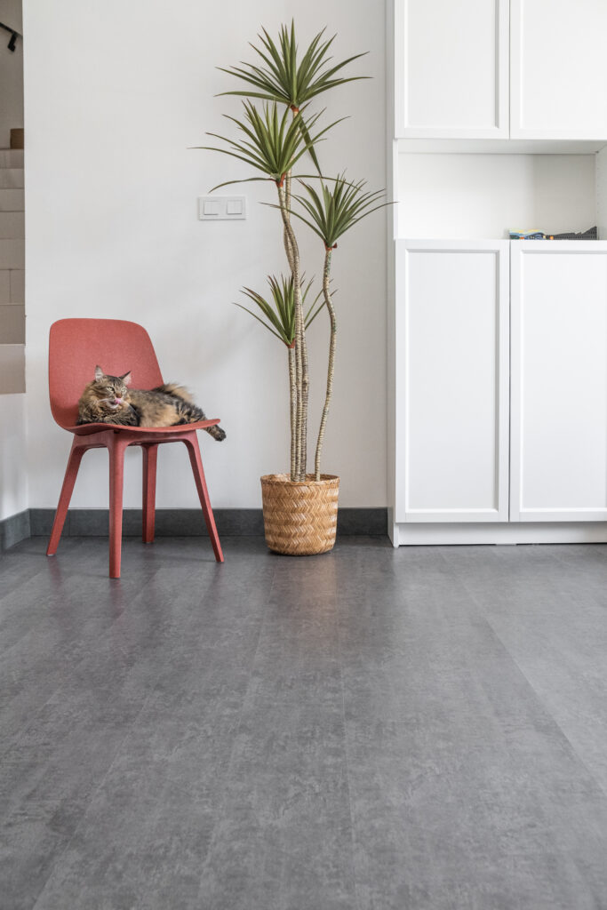 Sanav Dark Concrete